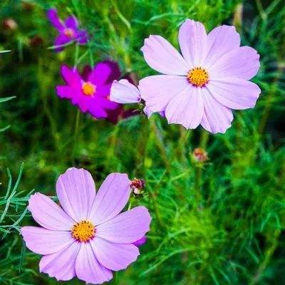 火博体育全站下载版