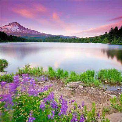 快3平台官网app下载